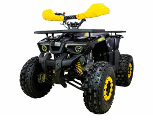 Квадроцикл ATV Classic 8 NEW 2024